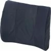 HealthSmart® Standard Lumbar Back Support Cushion, 14" x 13", Navy